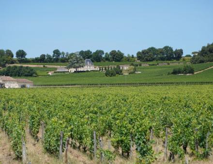 La route des Châteaux de Saint-Émilion : Guide des meilleurs tours et domaines viticoles